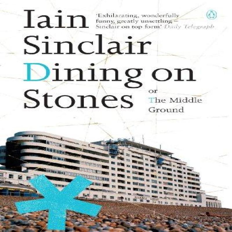 Dining On Stones by Iain Sinclair Paperback Book 9780141014821