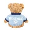 Official Manchester City Plush Bear Player Badge