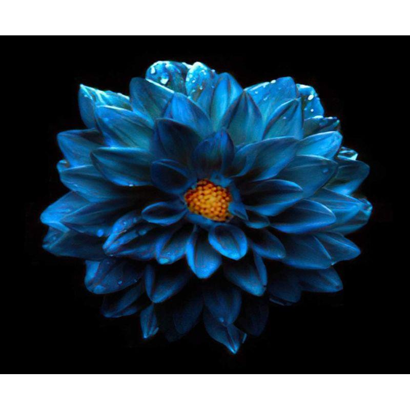 DIY Алмазная картина Цветок Алмазное искусство Алмазная вышивка Полный круглый дрель Домашний декор Подарок