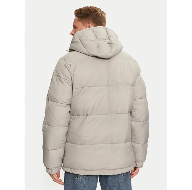 Пуховик Dickies Waldenburg Hooded DK0A4YEYD06 серый Regular Fit