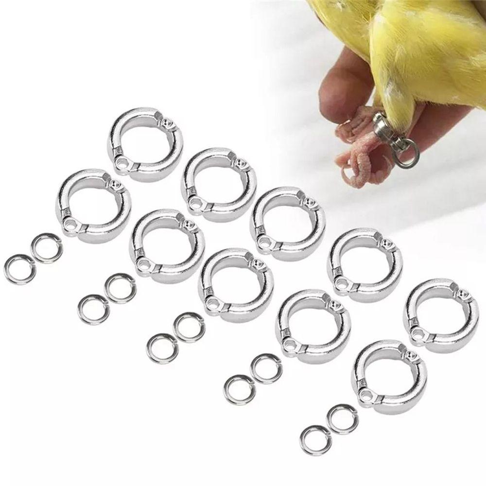 Activity Anti-Lost Clip Parrot Foot Rings Bird Supplies Bird Leg Rings Bird Leash Accessories