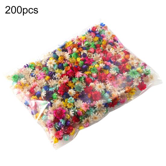 Привлекательный стабилизированный цветок, отличное качество изготовления, натуральный цветок ручной работы