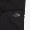 The North Face Мужские брюки Geodome V Черный Np6nq55a