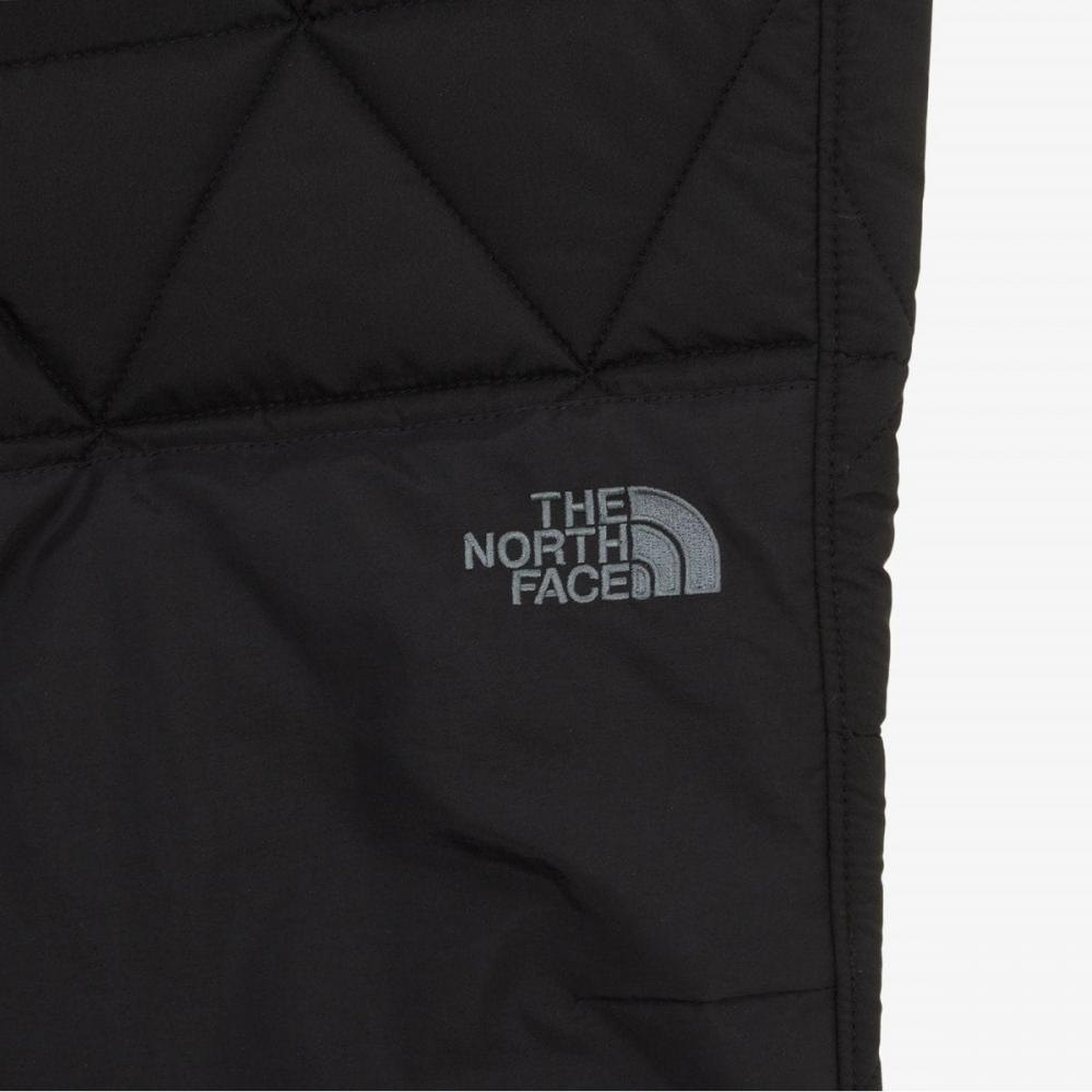 The North Face Мужские брюки Geodome V Черный Np6nq55a