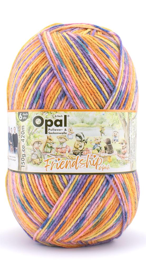 Пряжа для носков Opal Friendship, 6-слойная, смесовая шерсть, 11565. Кемпинг Вместе