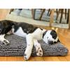 Dog Bed Dog Gone Smart 58 x 91 cm Grey