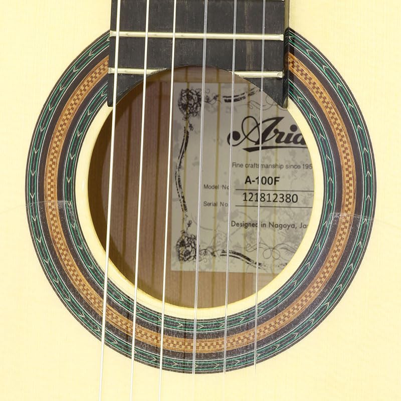 ARIA Aria flamenco guitar With soft case A-100F