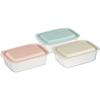Grooveless, Easy-to-Clean Storage Containers, 700ml, Set of 3, Microwave-Safe with Lids, Dishwasher-Safe, Made In Japan, FCNN7-A