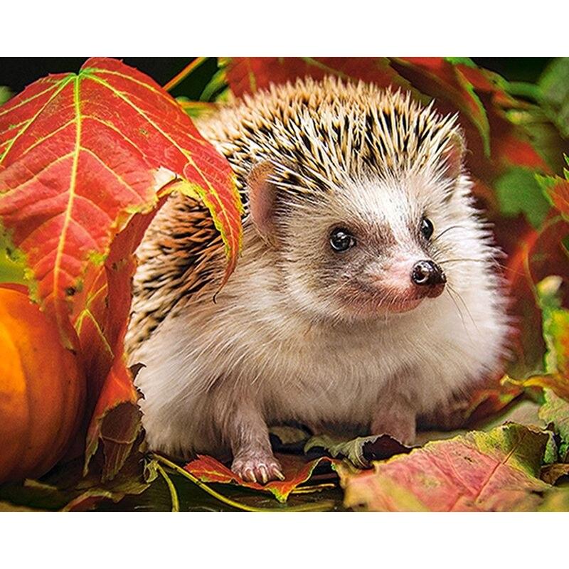 5d полная дрель круглая алмазная живопись ёжик для детей мозаика животное алмаз ручной работы подарок домашний декор 40x50 см