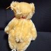 [USED] Excellent condition vintage Steiff teddy bear, German mohair