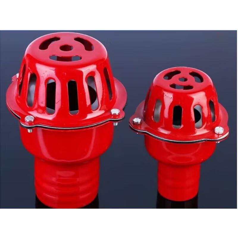 ZhongAoliqiang 3-inch Check Bottom Valve with Strainer