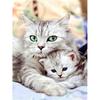 Huacan 5D Diamond Painting Full Square Cat Rhinestones Pictures Animals Diamond Embroidery Diamond Mosaic