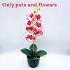 Aphrodite Phalaenopsis Artificial Rchb Potted Plant  For Gift And Decor Interior