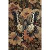 Butterfly Romantic Floral Boho Posters and Prints Canvas Printing Vintage Wall Art Picture for Living Room Home Decor Gifts