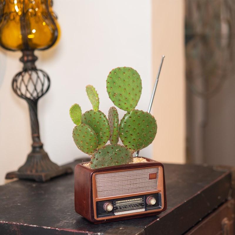 Creative Retro Radio-Shape Resin Flower Pot Multi-Functional Home & Office Desktop Decoration Personalized Gift
