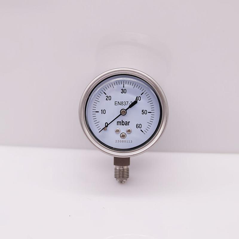 Stainless steel mbar pressure gauge