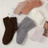Coral Fleece Socks Fleece-lined Warm Sleep Socks Floor Socks Autumn and Winter Women's Mid-calf Socks Non-shedding
