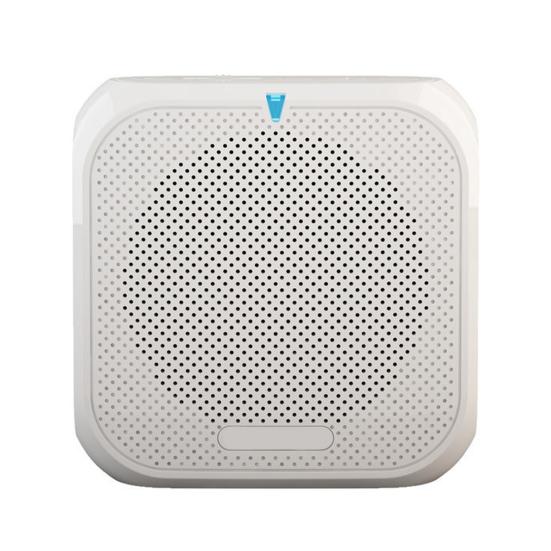 Портативный беспроводной усилитель голоса для учителей, совещаний, экскурсоводов, перезаряжаемая PA-система, динамик, персональный усилитель, мегафон с клипсой для крепления сзади