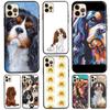 Cavalier King Charles Spaniel Phone Case For iPhone 13 11 12 Pro Max 7 8 Plus X XR XS Max SE 2020 12 13 Mini Back Cover
