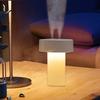 Small Humidifier Personal Mist Night Light for Indoor Home