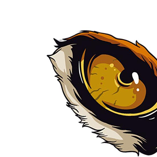 Водонепроницаемая автомобильная наклейка, износостойкая виниловая наклейка с рисунком орлиного глаза, эко-образец