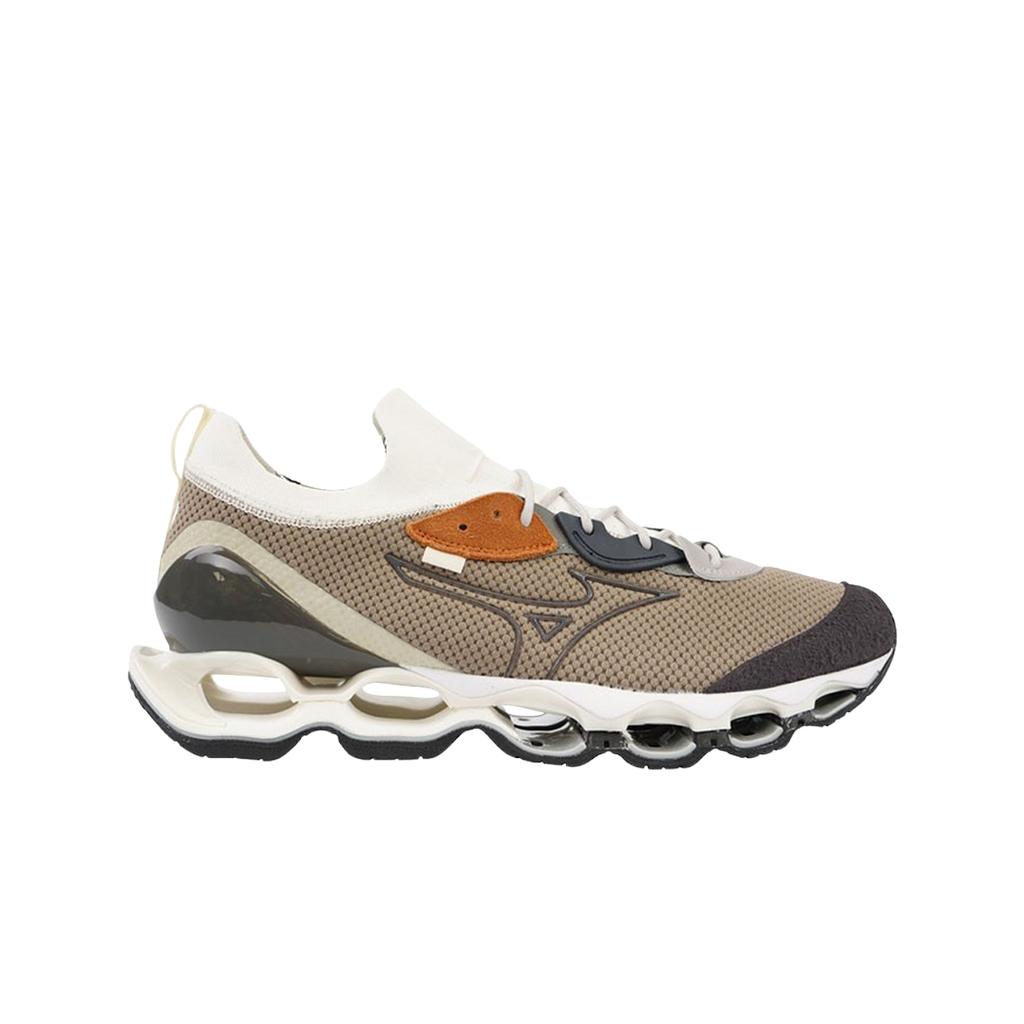 Mizuno Пророчество Волны Бета Упавший Камень