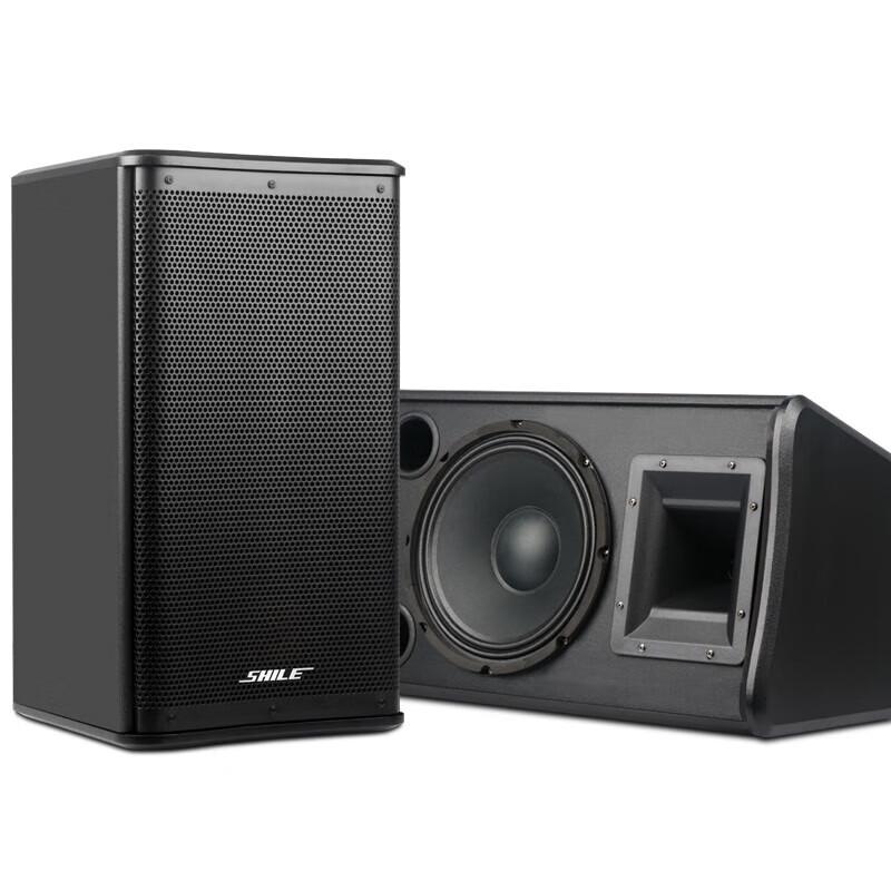 SHILE Professional 10-inch Conference & KTV Audio System with Wireless Microphones