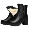 Winter Boots Women 2024 New Thick Plush Ankle Snow Boots Women High Heels Botas Mujer Invierno Outdoor Women Casual Warm Boots