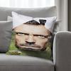 TV Show HHouse Various Sizes Square Pillow Case For Car Home Bedchamber Decor Custom Valentine gift