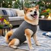 Breathable Dog Recovery Suit Comfortable Cat Jumpsuit Pet Anti-Lick Suit  Prevent Licking