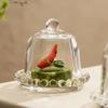 Прозрачная крышка для торта и поднос для десертов, мини-подставка для демонстрации для послеобеденного чая или дегустации фруктов.