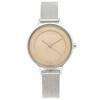 Часы SKAGEN SKW2649 Silver Beige [Skagen] Женские [Товар]