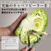 Wada Shoten Pro Peeler a professional cabbage peeler for thinly shredding and peeling successor 2025 Z, cabbage. [AIR3 model, model]