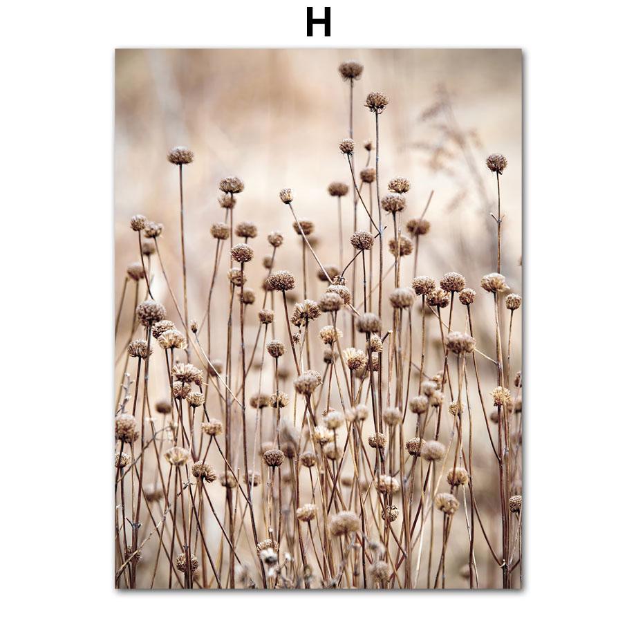 Скандинавский тростник, бежевое растение, тигровая лошадь, скандинавская цитата, настенная живопись на холсте, постер и принты, фотографии для декора гостиной