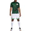 Nike Нигерия 2024 Стадион Выездная Мужская Nike Dri-FIT Футбольная Реплика Джерси FQ8847-010