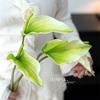 Высококачественные искусственные цветы Антуриум и Калла Lumina для домашнего декора