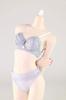 Tbmodel Scale Bikini Bra and Panties Underwear Action Figure for Blue 1/6 TBLeague,