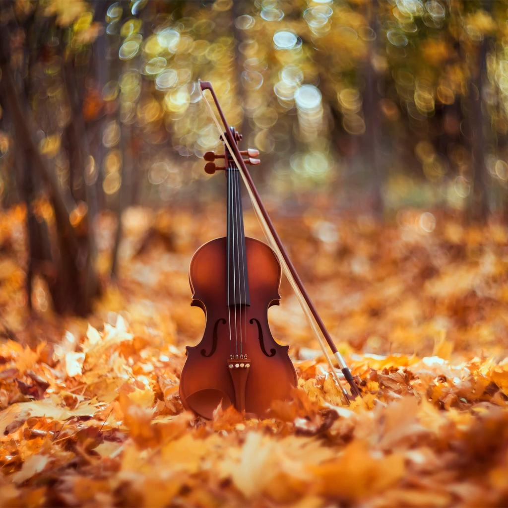 Uxcell Violin Fine Tuner Fiddle String Adjuster Fine Tuner Silver for Violin 4 Pieces 4/4 3/4