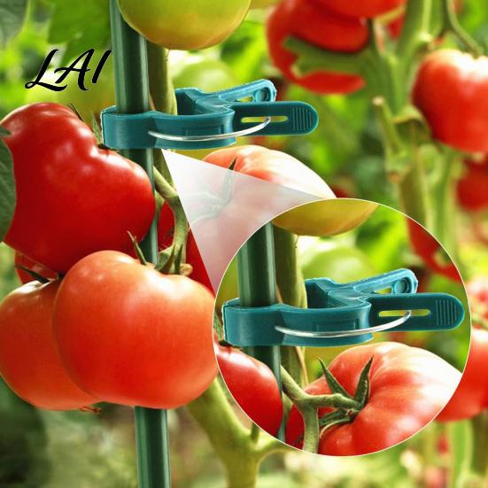 Elastic Plastic Plant Clips 20Pcs Support Clips Gentle Clamps Greenhouse Holders Tomato Cage for Climbing Vines Flowers Stems Professional Clamps