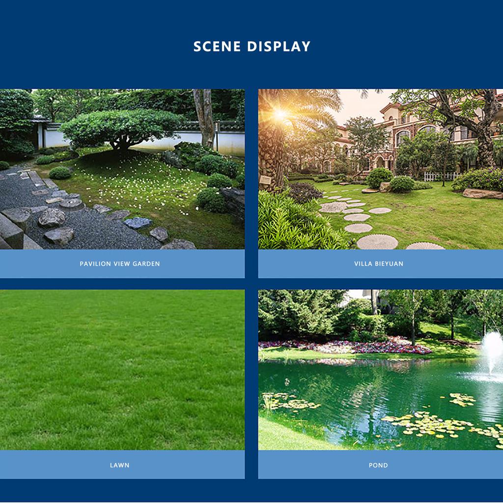 Моделирование вороны, черного цвета, птицы, натурального цвета, 