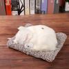 Sleeping Animals Bamboo Charcoal Lifelike Cat Dolls Plush Toys Simulation Creative Home Office Car Decoration Kitten Ornaments