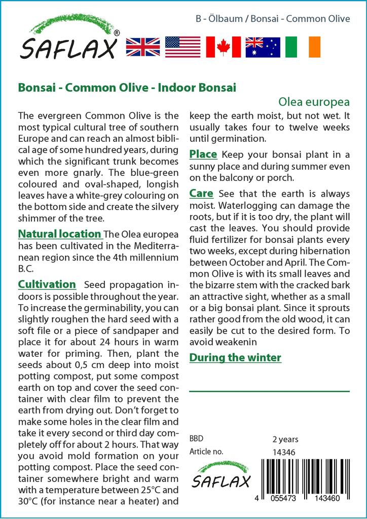 SAFLAX Garden in the Bag - Бонсай - Олива обыкновенная - 20 семян - С субстратом в подходящем пакете - Olea europea