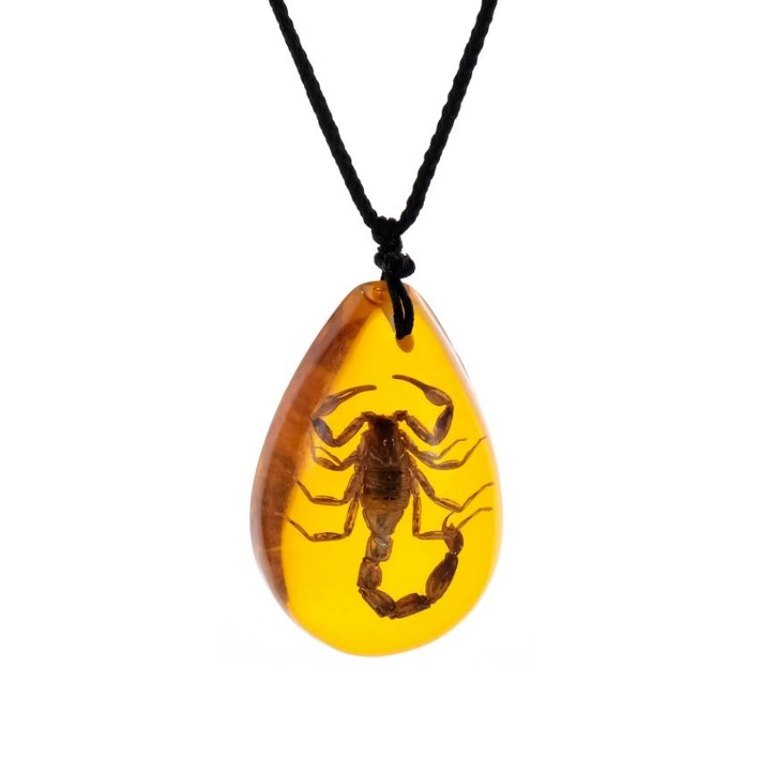 Pendant Inclusion Scorpions Necklace Charms Home Decorative Stone Travel Gift Resin Handmake Jewelry Amber Natural Insects