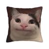 Подушка с забавными мемами про домашних кошек, Ретро-трендовая наволочка, Удобные наволочки для дивана, кушетки, кровати, гостиной