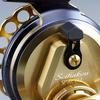 Shimano Black Sea Bream Chinu Seihakou SP RC83 for Raft Fishing Reel, 19, Red, Right,