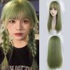 Long Straight Green Wigs with Bangs Synthetic Women Natural Lolita Cosplay Hair Wig for Daily Party