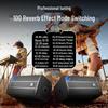 SAST SA-179 Outdoor Professional Instrument & Performance Speaker CN plug (adapter included)