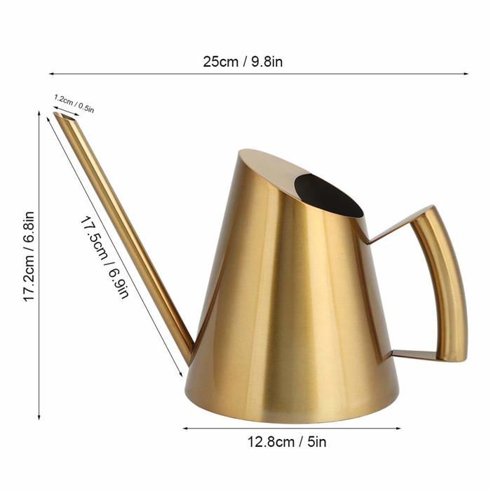 Arrosoir en acier inoxydable doré 900 ml (30,5 oz) - long bec, intérieur et extérieur