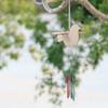 1 Set Diy Wind Chime Kit Painting Crafts Making Wind Chimes Bird Shaped Wood Craft Windchime Wind Bell Garden Hanging Decoration