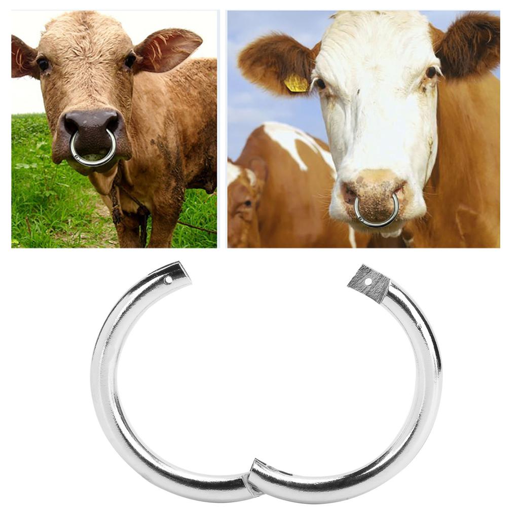 Металлическое кольцо для носа быка и коровы, хромированное, для сельскохозяйственных животных, крупного рогатого скота, ветеринарного аксессуара